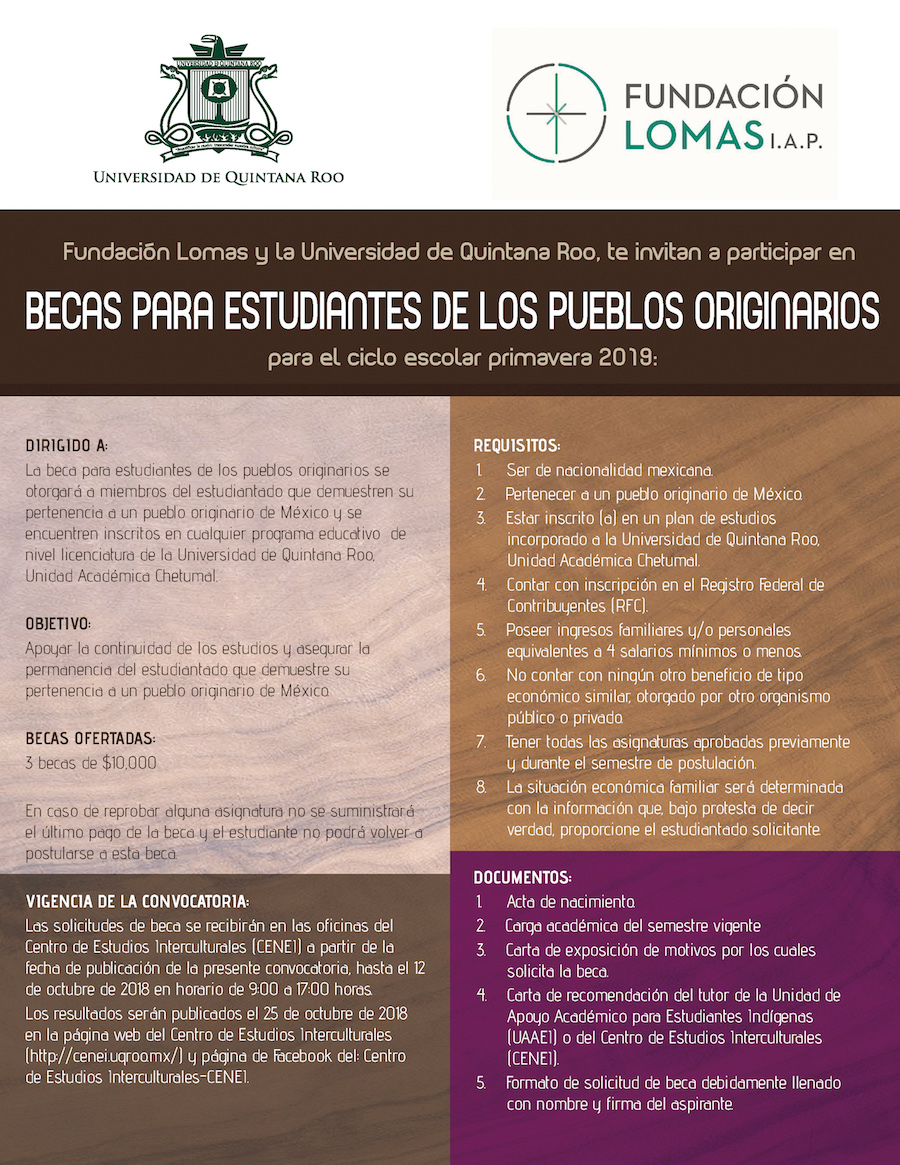 Becas_Estudiantes_Pueblos_Originarios_2019_Mesa_de_trabajo_1.jpg