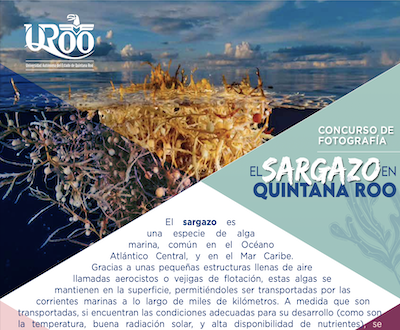 concurso de Fotografía