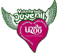 Voluntariado