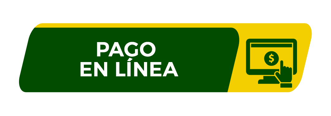Pago en Línea