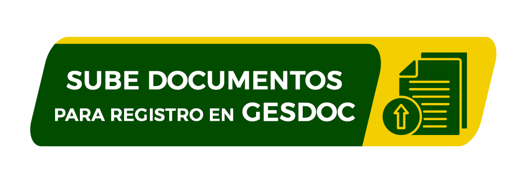 Sube tus documentos