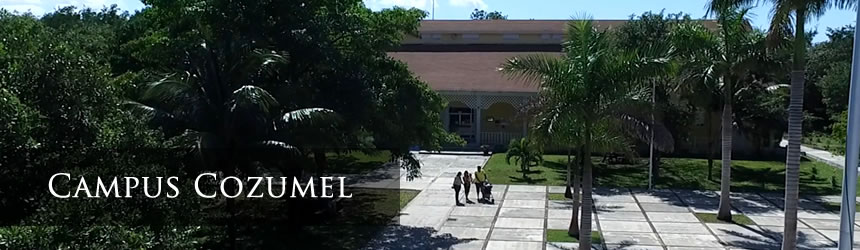Campus Universitarios - Universidad Autónoma Del Estado De Quintana Roo
